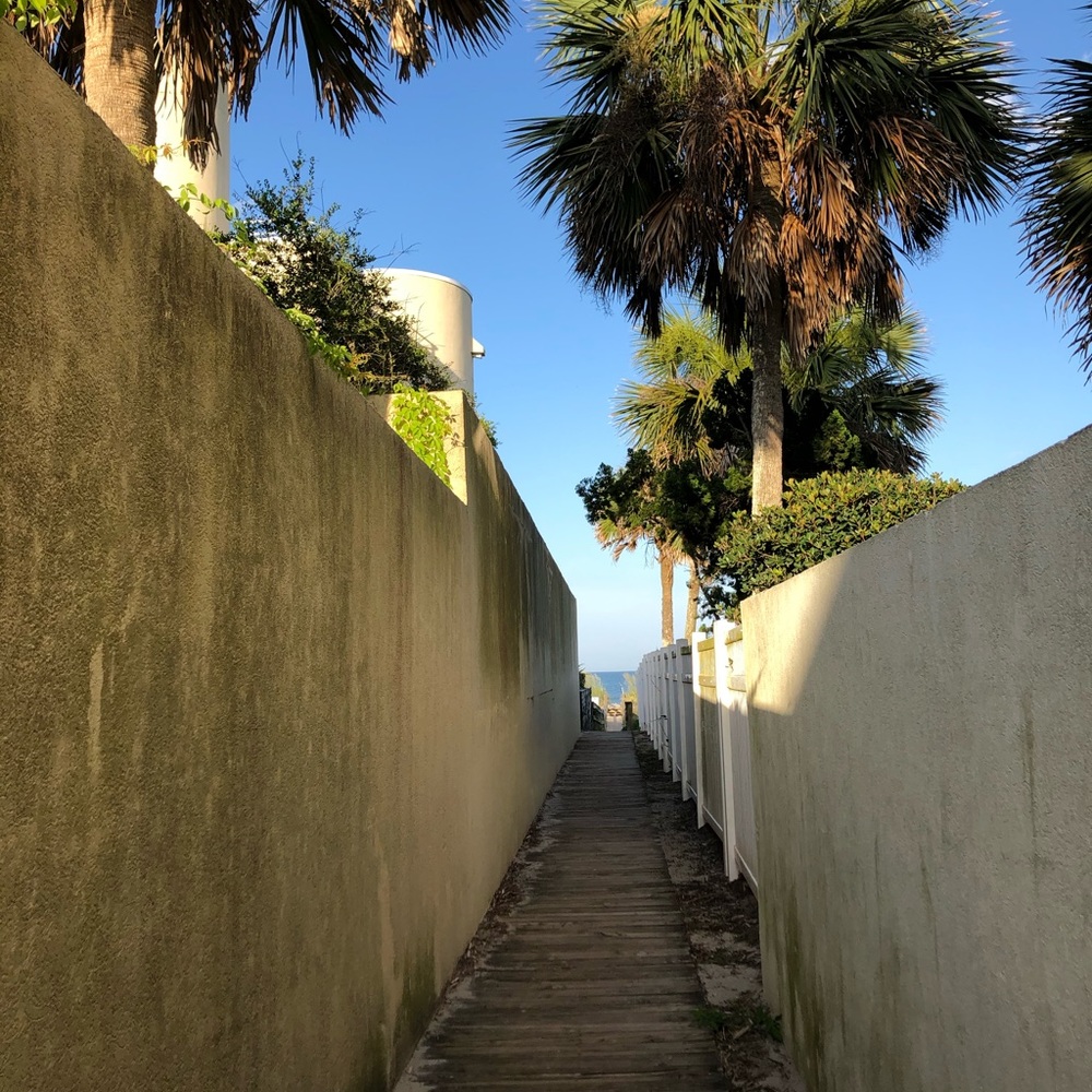 Meet your Posher, Talitha